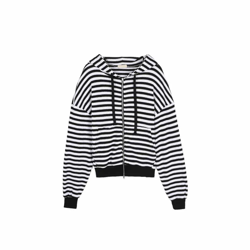 ASCLO  |Stripes Unisex Street Style Long Sleeves Oversized Hoodies