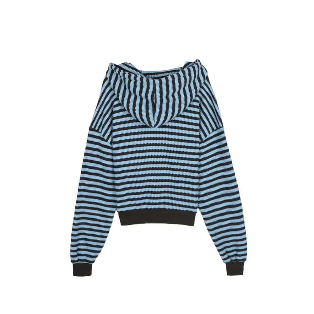 ASCLO  |Stripes Unisex Street Style Long Sleeves Oversized Hoodies