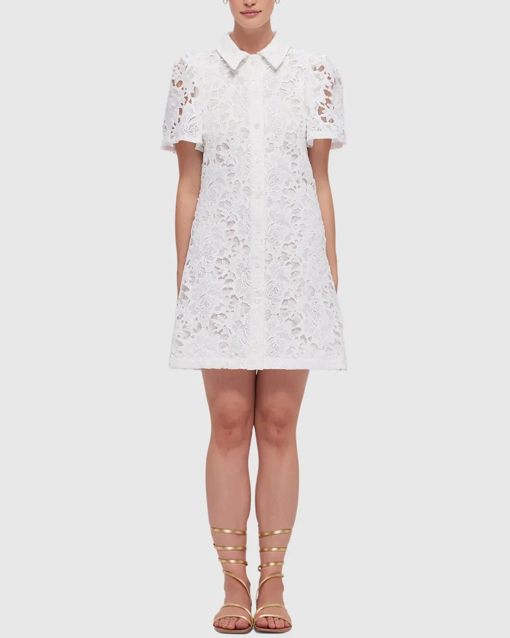 Snow Brooke Lace Mini Dress