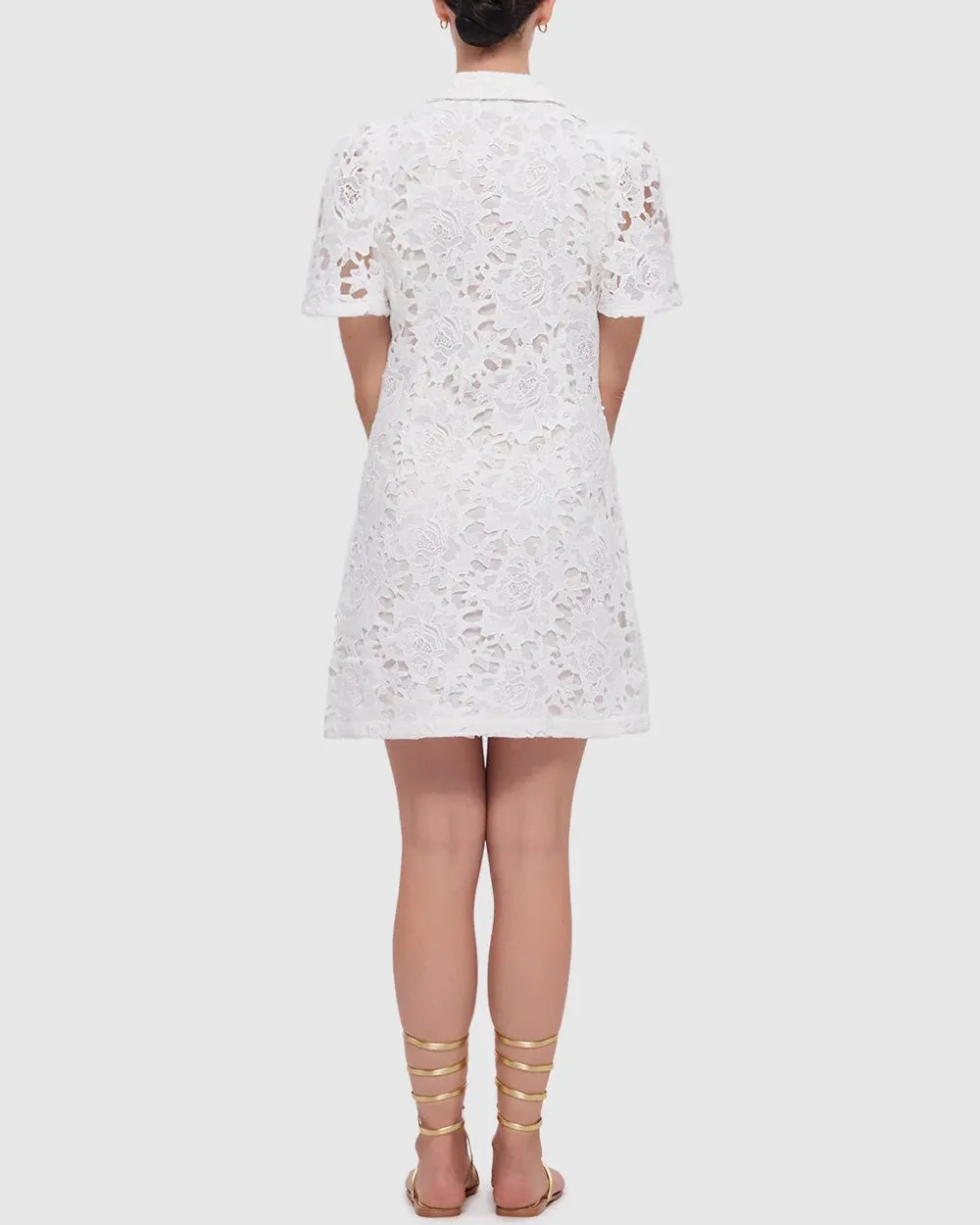 Snow Brooke Lace Mini Dress